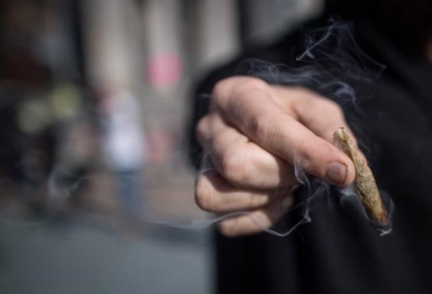 Breaking News: Cannabis pre-roll sales soar as Canadians share joints less during pandemic