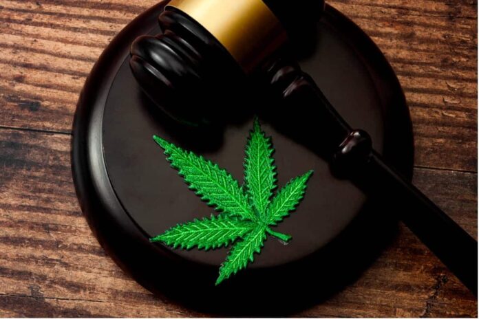 Breaking News: Overcoming a cannabis conviction to enter Canada